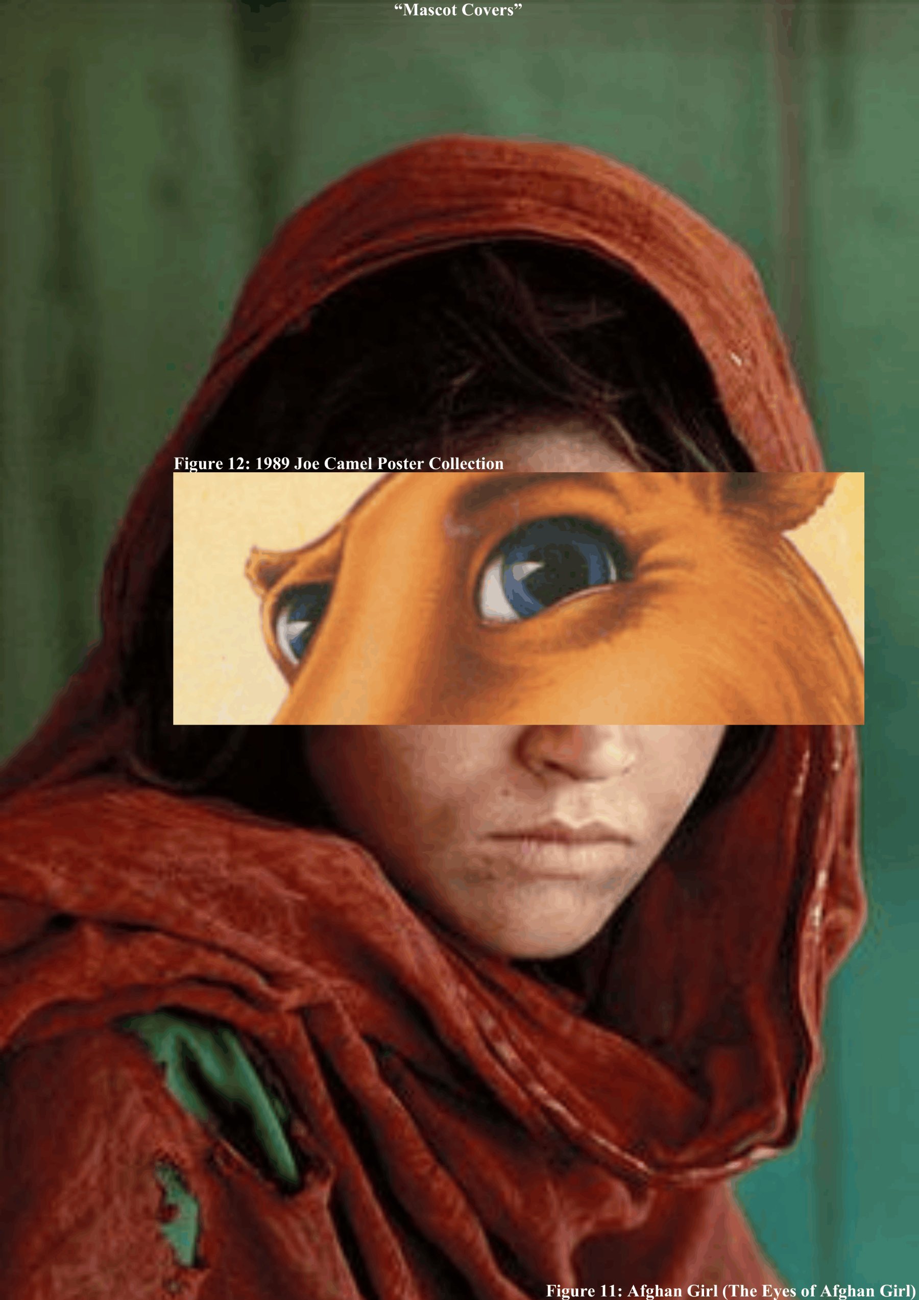 'Mascot Covers' — Steve McCurry's Afghan Girl with a Joe Camel poster cropped across her eyes (Figures 11 and 12).