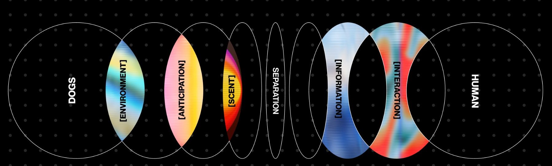 The separation loop diagram — dog-side variables (environment, anticipation, scent) and human-side variables (information, interaction)