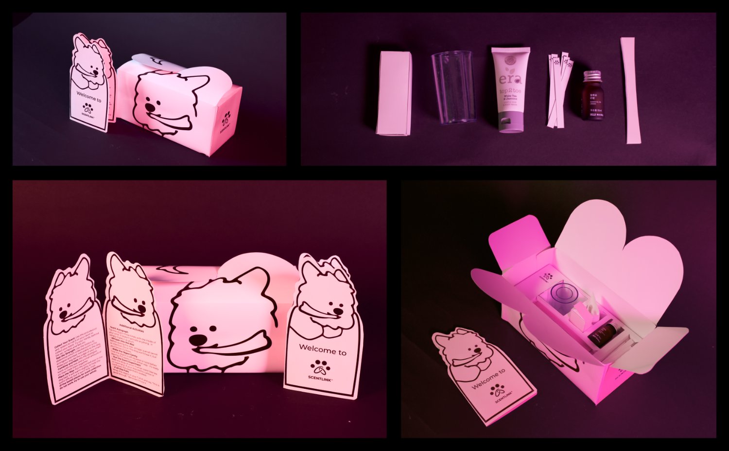 The SCENTLINK kit box and welcome cards with onboarding contents