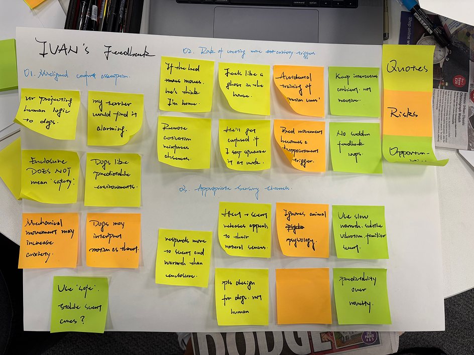 Feedback board of sticky notes from a think-aloud session, grouped into assumptions, risks, and sensory channels